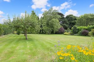 Garden- click for photo gallery